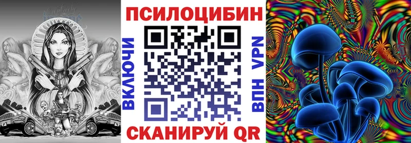 сколько стоит  MEGA зеркало  Псилоцибиновые грибы мухоморы  Инта 